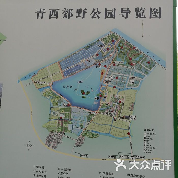 青西郊野公园图片 - 第7张