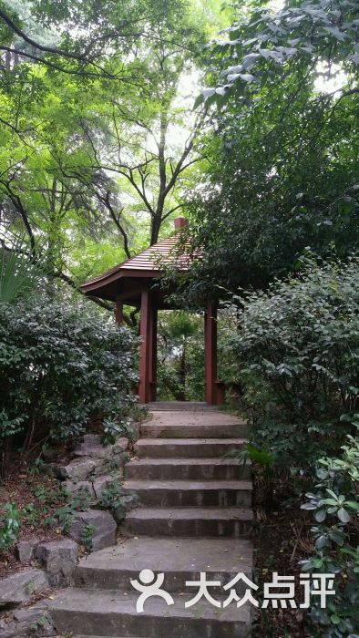 南京古林公园(虎锯北路店)图片 - 第2张
