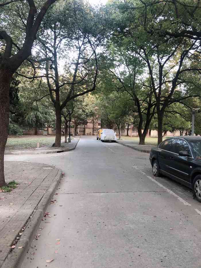 同济大学(沪西校区)