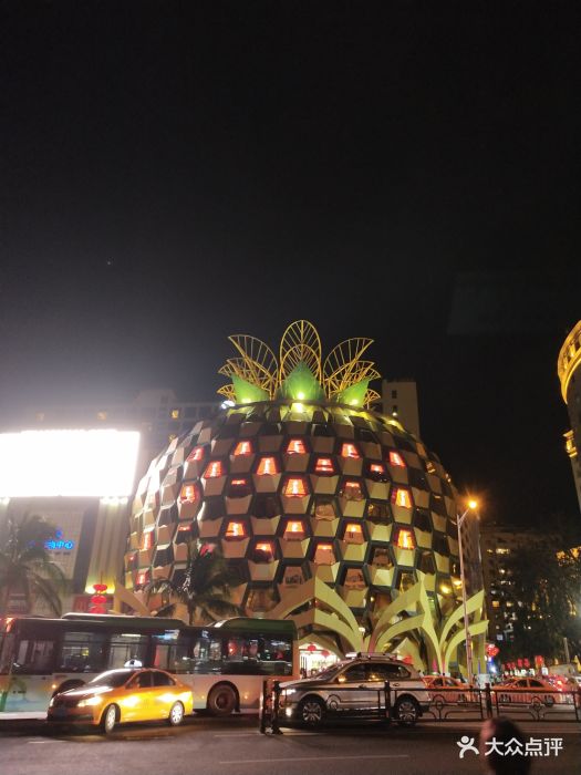 大菠萝游乐场图片