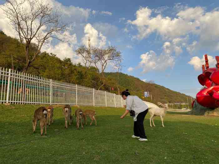 旬邑鹿野苑"明明里面有人不让进,说疫情防控,就算要预.