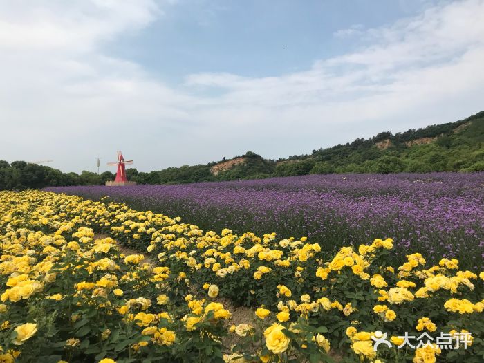 雪浪山生态园图片