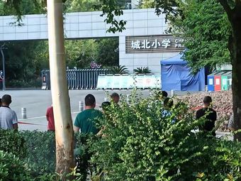 小学|东林大道2条评价|人均-北街小学小学|璧山区其他2条评价|人均