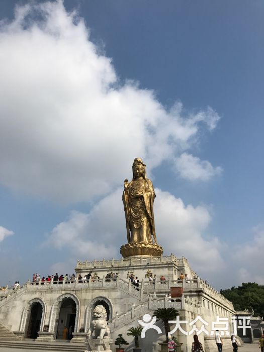 普陀山风景区图片 - 第5张