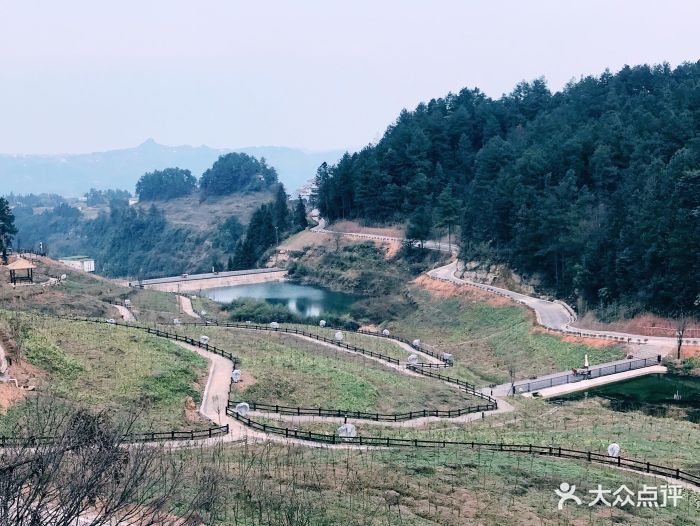 横山风景区-图片-綦江区周边游-大众点评网