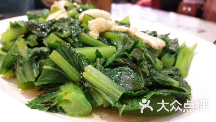 鹅仔菜