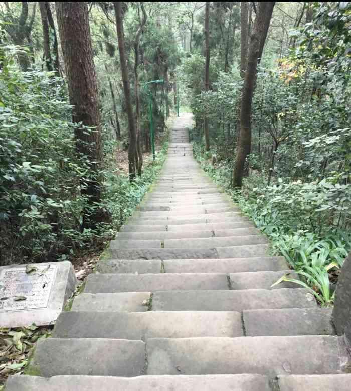 歌乐山国家森林公园-"好久都没有爬歌乐山步道,现在没有当初的热.