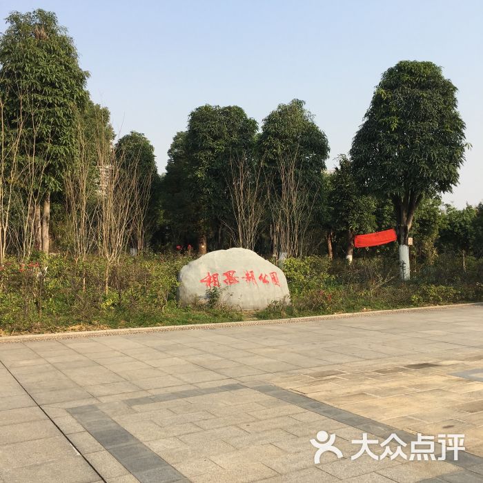 相思湖公园-图片-南宁周边游-大众点评网