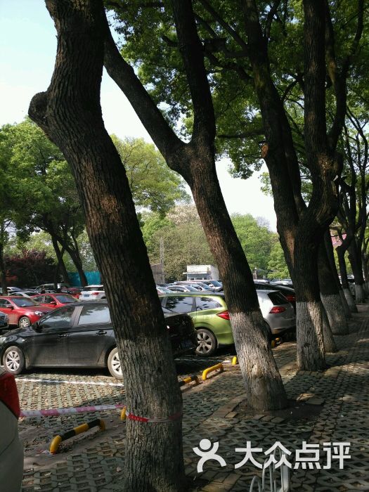 中南医院停车场-图片-武汉爱车-大众点评网