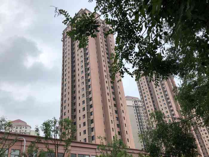 盛宁家园-"盛宁家园位于河北区大悲院附近,虽然是公租