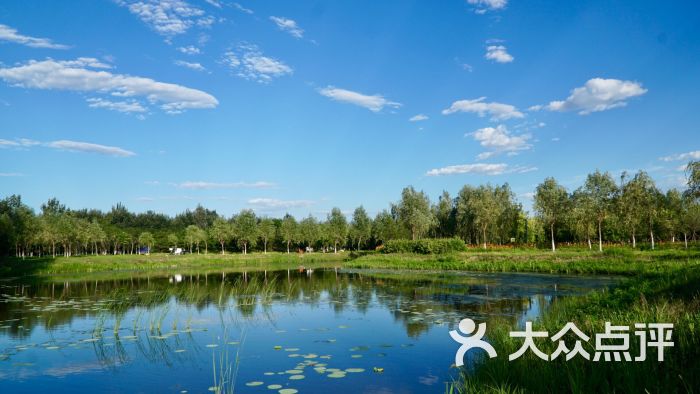 东郊湿地公园-图片-北京周边游-大众点评网