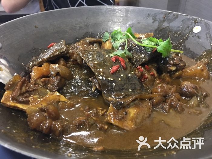 铁锅甲鱼图片 - 第47张