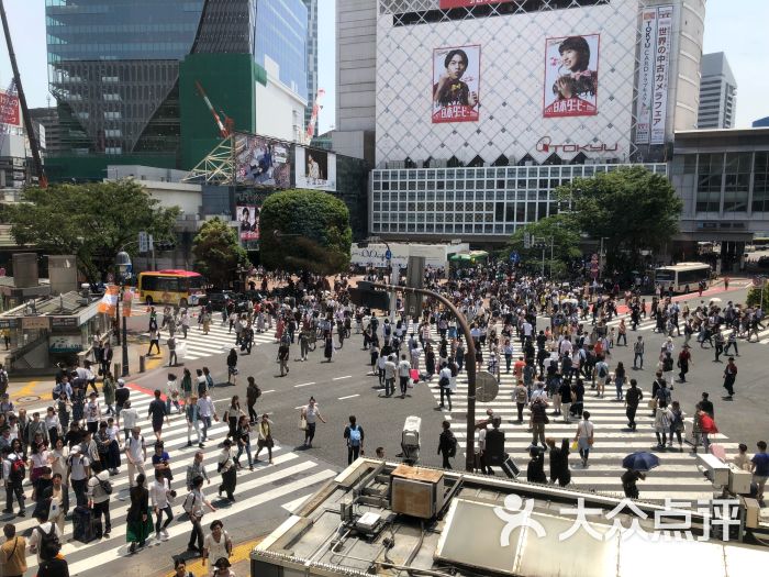 涩谷全向十字路口shibuya crossing图片 - 第1张