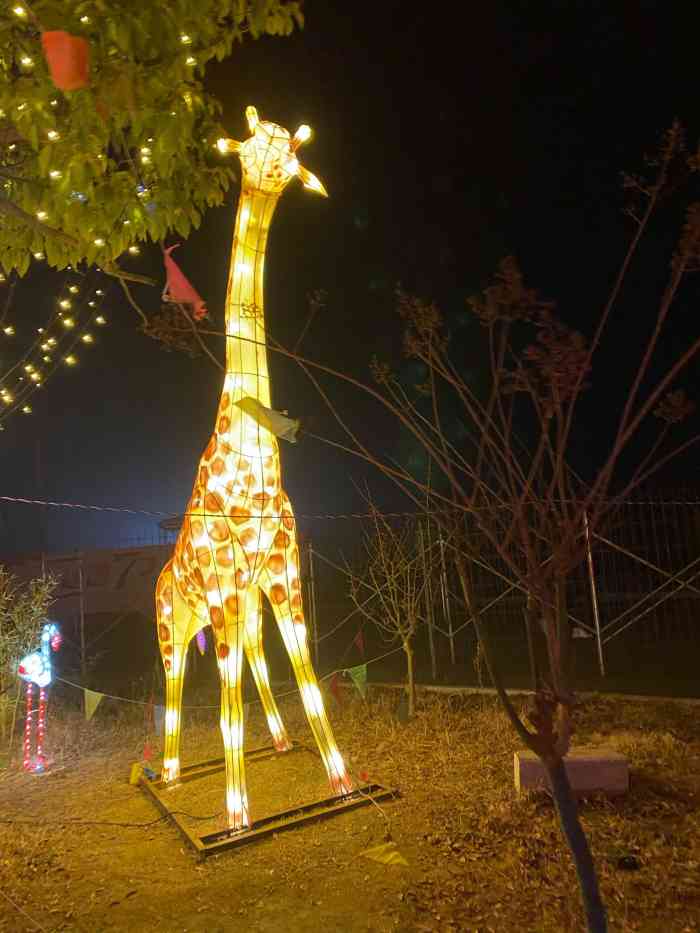 临泉木一博览园-"居然还要门票 人挺多的 不过天气有点热.