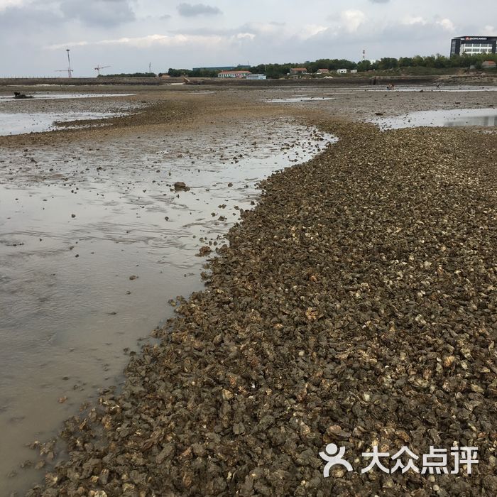 红岛黄澜赶海园