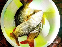 鱼类图片大全电子版 KYnH5xlyDuBuXEti069EHKmzyzlBK7UQPwAAYKbSFvRxExsHnxy2lhRMVElMNRC5J-0BTbjj60XOL1huyULDDVEuLYk00OmSS1IdNpm8K8twhW7bzr4O88Ivp4FuDG0SfCF2ubeXzk49OsGrXt_KYDCngOyCwZK-s3fqawWswzk.jpg