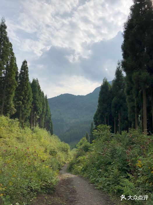 鸡冠山-图片-崇州市周边游-大众点评网