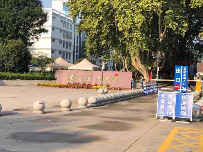 南京农业大学(浦口校区)-"工学院在卫岗这边简直就是