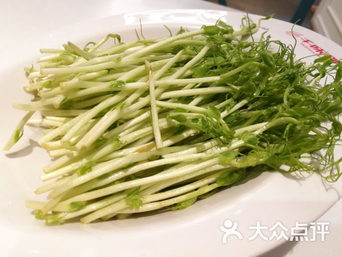 千味涮(喜荟城店)豆苗图片 - 第10张