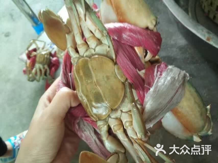 饶平海鲜批发图片 - 第6张