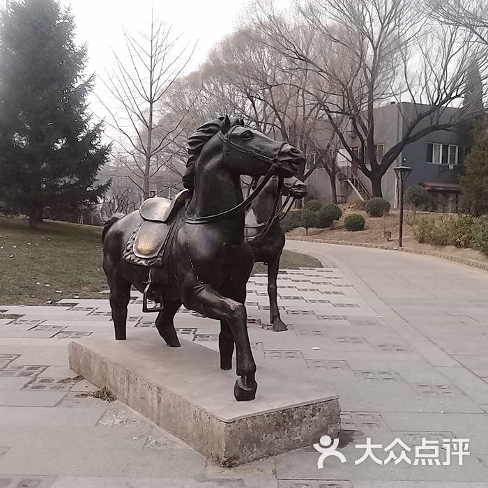 元大都城垣遗址公园