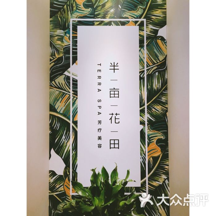 半亩花田(碧云店)图片 第1张