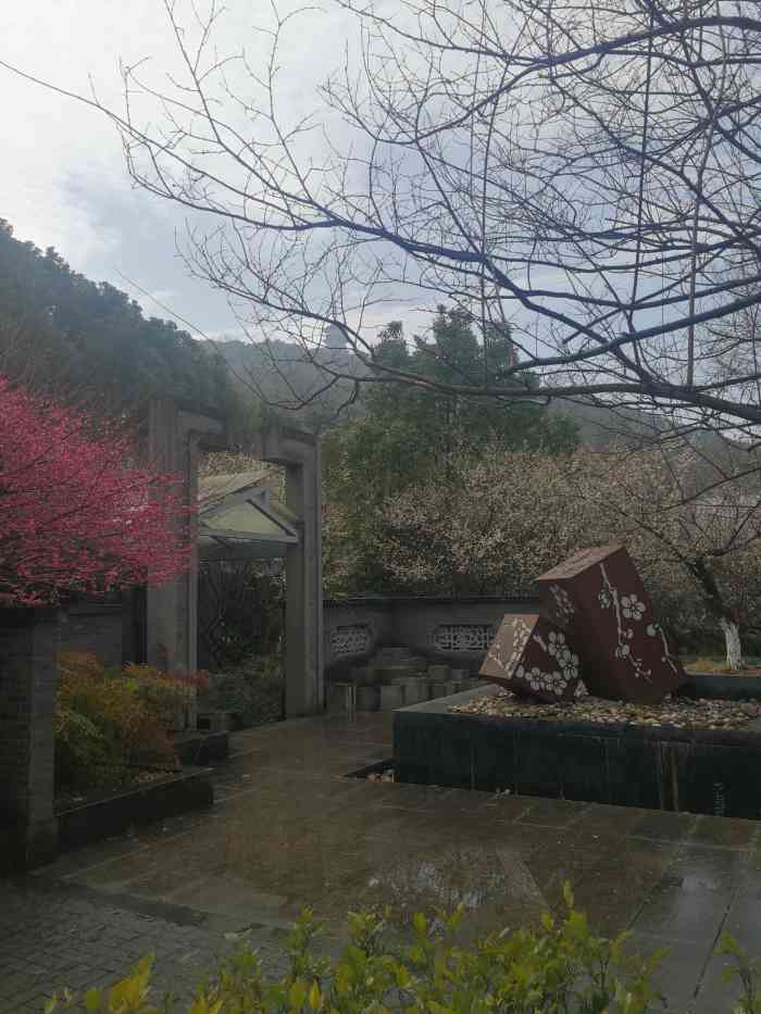海宁东山公园-"「海宁东山公园」 周日天气很好,阳光.