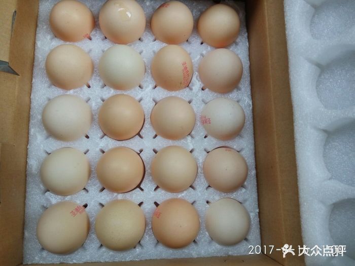 两个有凹洞的两块泡沫板装鸡蛋,保证鸡蛋不破损