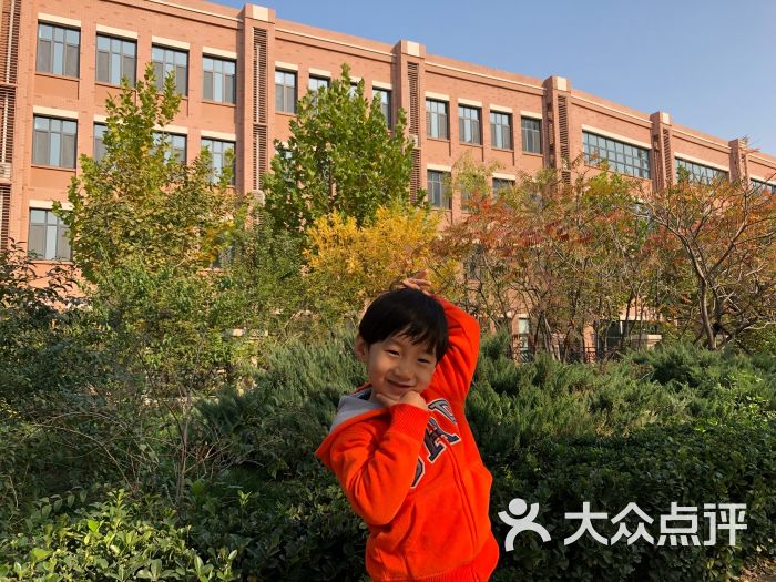 天津市实验中学梧桐学校图片 第2张