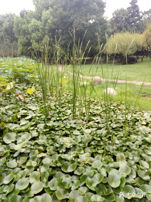 从东湖坐地铁跨越到解放公园现在已经清园了