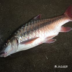 鱼图片大全大图真实高清 KkPTJCGSvVvD1mT9oxIK761Z4BUBLyocodu-4RVtrEFJcb8USziMZcW327Acsgw2uzFvxlbkWx5uwqY2qcjixFEuLYk00OmSS1IdNpm8K8twhW7bzr4O88Ivp4FuDG0SfCF2ubeXzk49OsGrXt_KYDCngOyCwZK-s3fqawWswzk.jpg