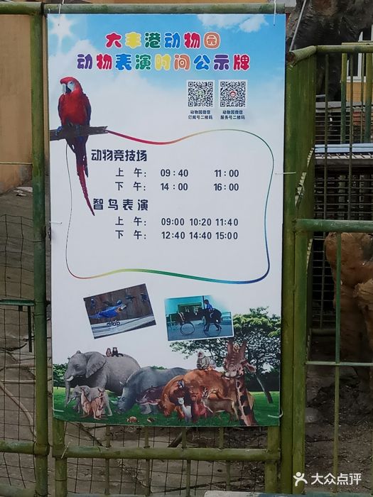 大丰港动物园图片 - 第2张