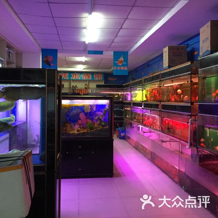 御龙水族店图片-北京宠物店-大众点评网