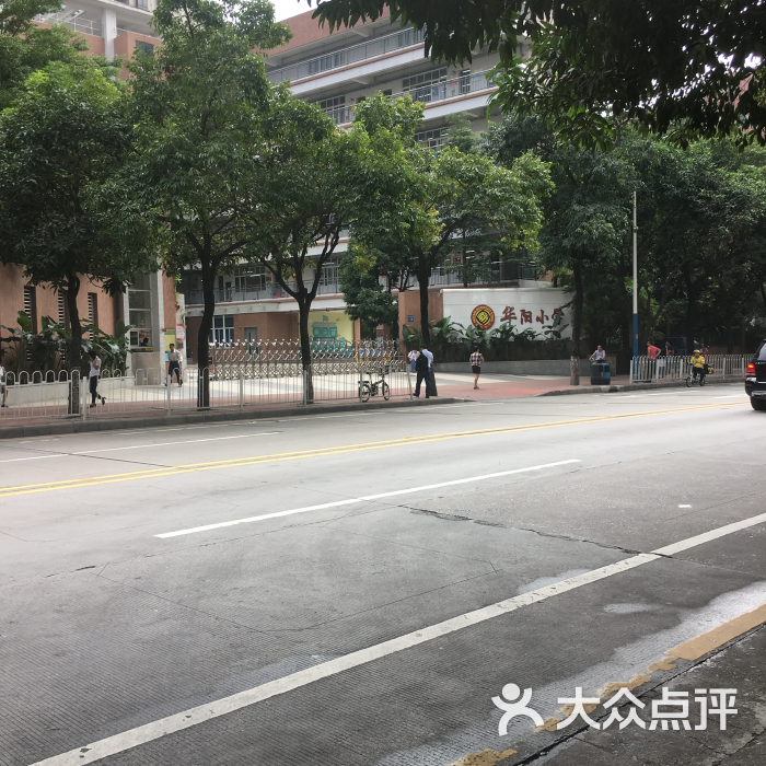 华阳小学(信成南街校区)图片 - 第2张