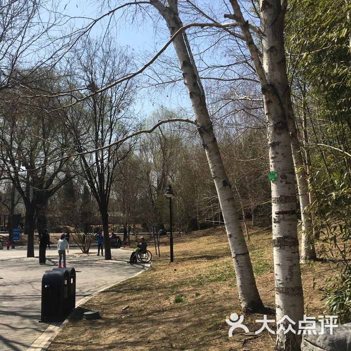 紫竹院公园
