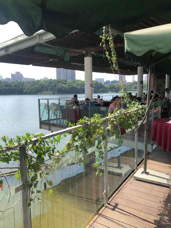 鹿鸣酒家-"3号早上去喝早茶.坐在露天位,旁边就是."-大众点评移动版