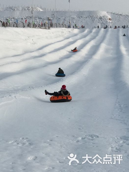 龙山滑雪场-图片-克拉玛依周边游-大众点评网