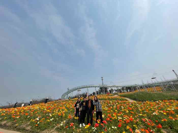 彩山四季花海景区-"老爸过生日,带我们来这里玩,满山.