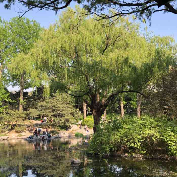 紫竹院公园-"这里已经和东单一样,门票免费,同友众多.