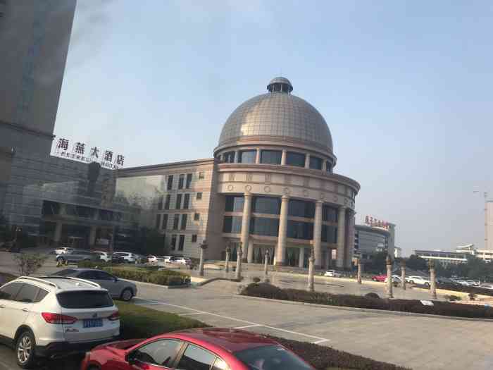 海燕大酒店-"扬子江药业对面,是扬子江药业自己开的.