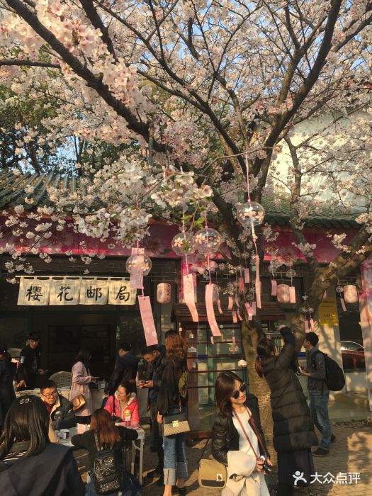 樱花邮局图片