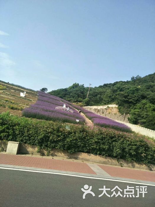 连岛景区:早上去晚上回,玩了一天,很累但.连云港