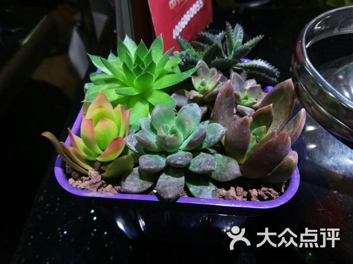 渝乡辣婆婆:我在这吃饭,服务员态度不好,菜.石家