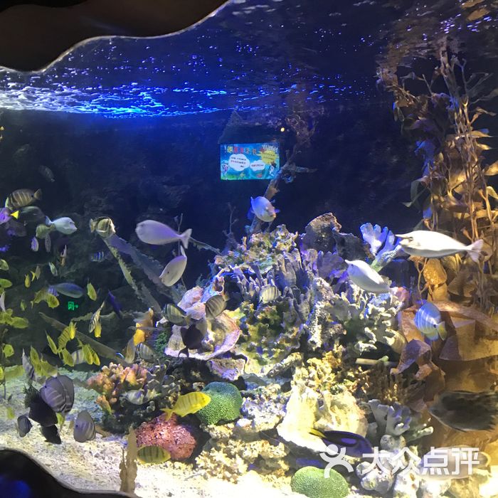 太平洋海底世界博览馆