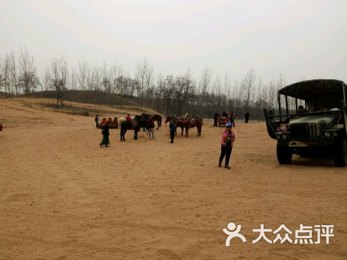 大荔皇家沙苑景区图片 - 第4张