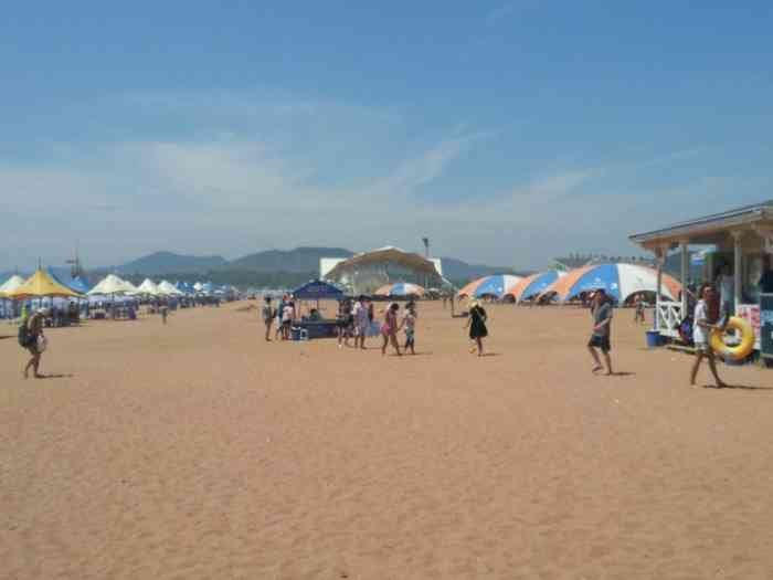金沙滩海滨浴场-"蓬莱的海最干净,海边能看到成群的在