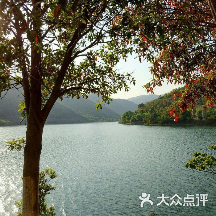九龙湖风景区