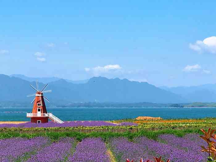 庐山西海花千谷-"【环境】 庐山西海花千谷景区位于秀