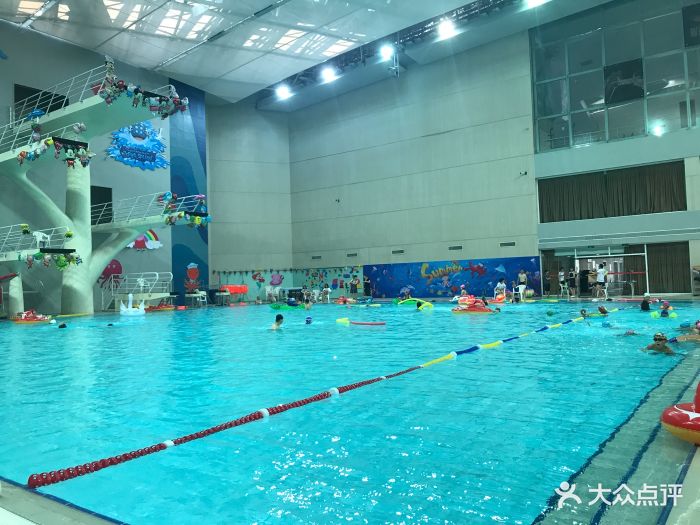 国信体育中心·游泳馆-图片-青岛运动健身-大众点评网