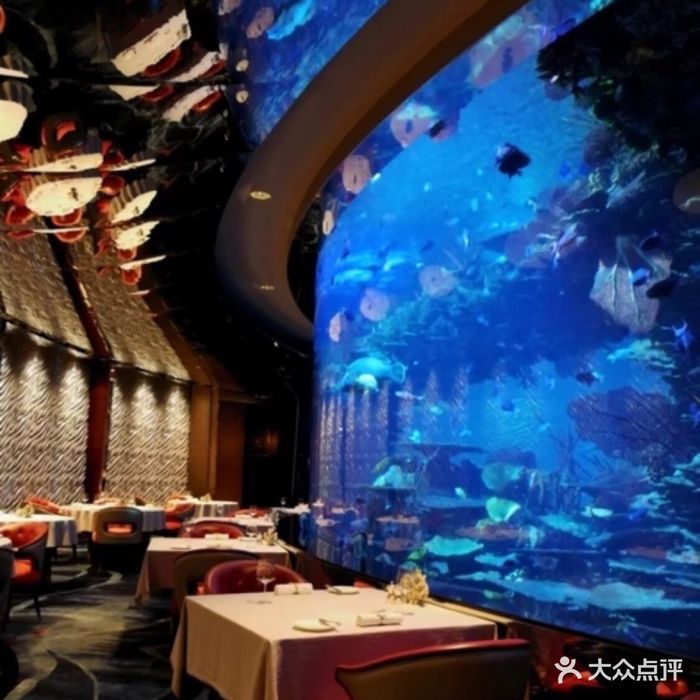 迪拜帆船酒店海底餐厅图片 - 第400张